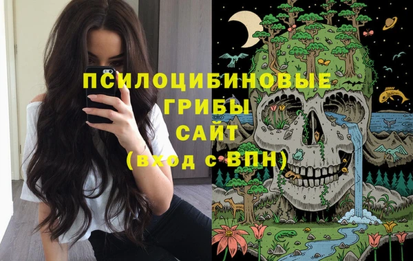 не бодяженный Алексин