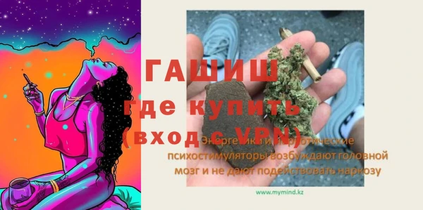 стафф Каменка