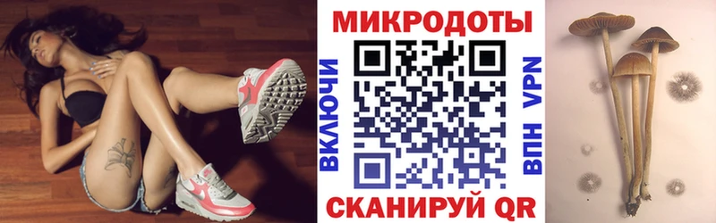Псилоцибиновые грибы прущие грибы  Мичуринск 